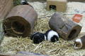 Foto 2005-10-8