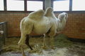 Foto 2005-10-9