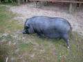 Foto 2005-11-9