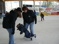 Foto 2006-11-13