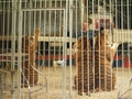 Foto 2006-12-13