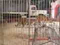 Foto 2006-12-9