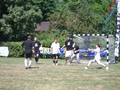 Foto 2006-14-18