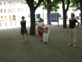 Foto 2006-15-1