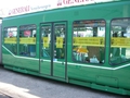 Foto 2008-8-9