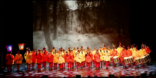 Fotti 2017-1-13: fasnacht.ch